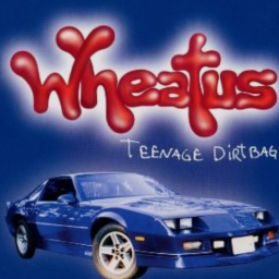 Album Art - Teenage Dirtbag